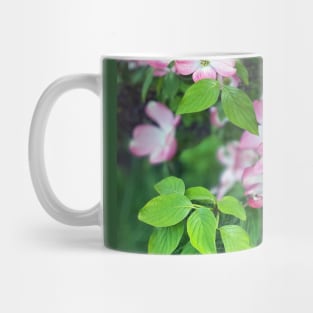 Dogwood Flowers in Spring Mug